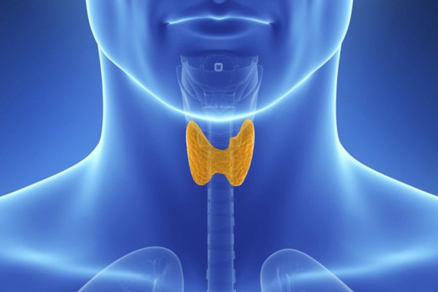 quy trình xét nghiệm T4